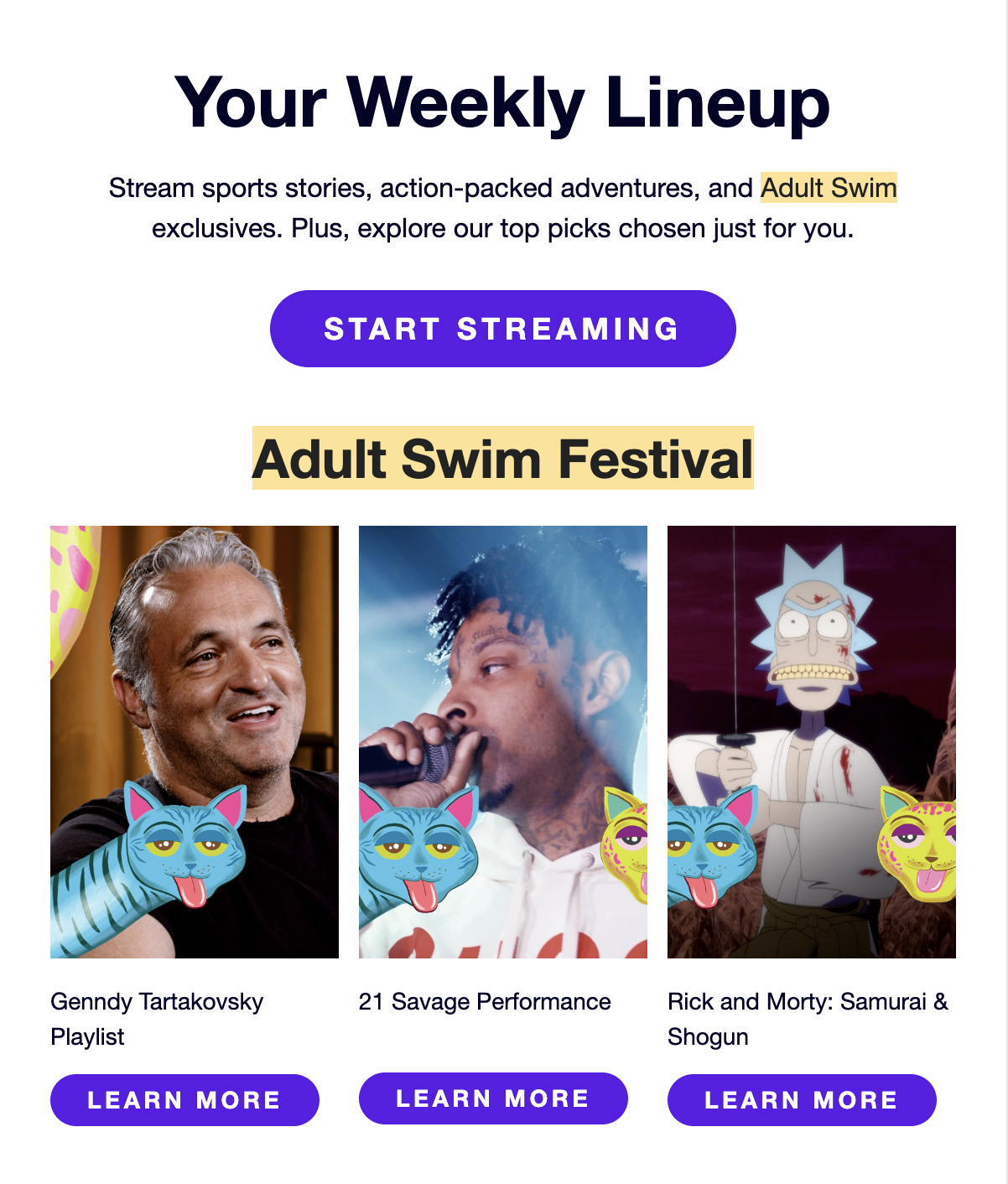 Adult Swim Festival directed interview still