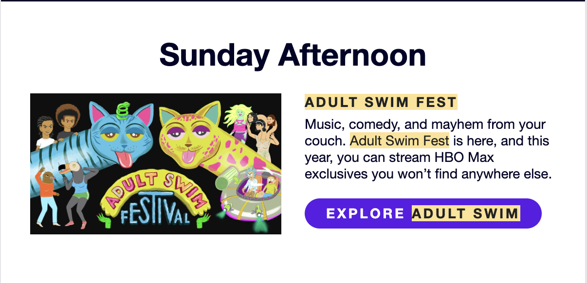 Adult Swim Festival directed interview still